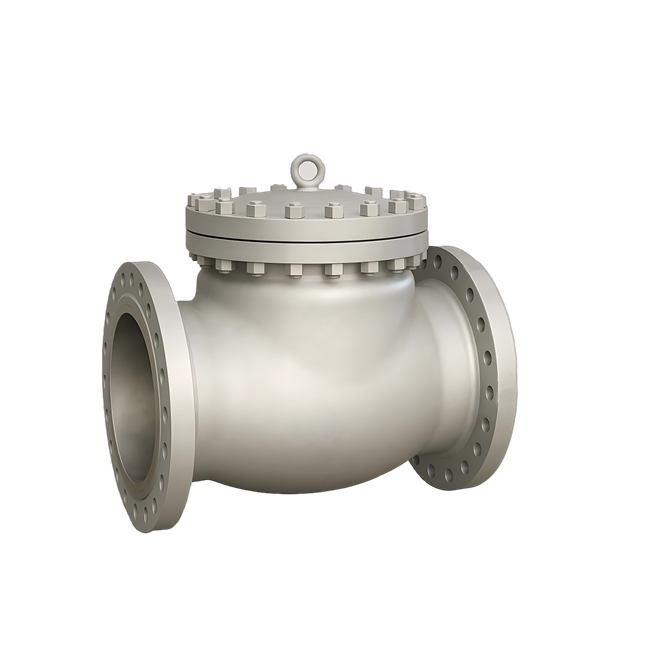 Check Valve